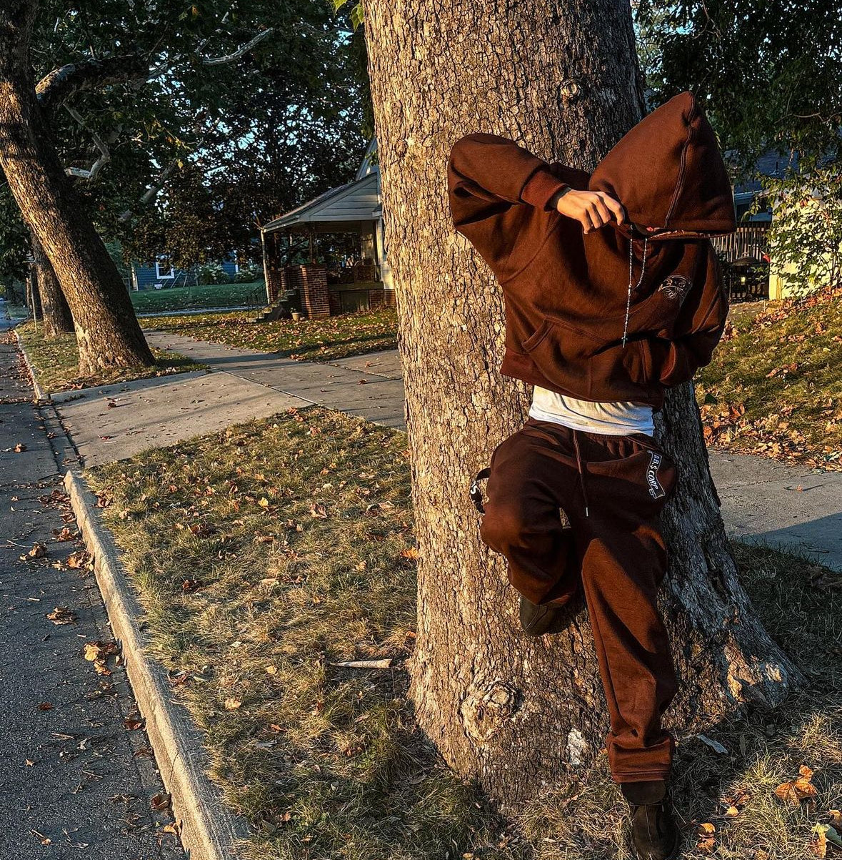 DBS Brown Satin Hoodie